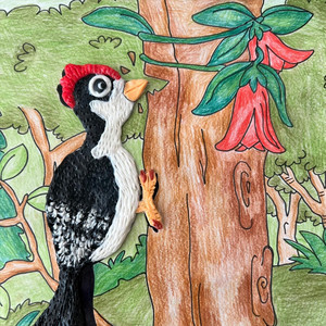 BABADU: Pajarito Carpintero
