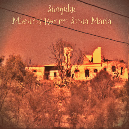 SHINJUKU: Mientras Recorro Santa Maria
