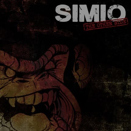 SIMIO: The Other Side