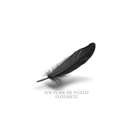 SIN PLAN DE VUELO: Flotante
