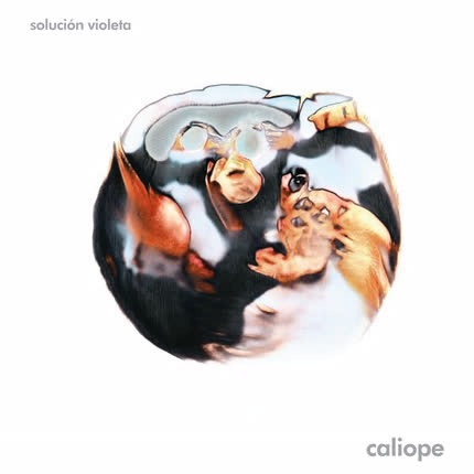 SOLUCION VIOLETA: Caliope