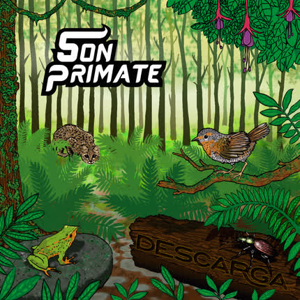 SON PRIMATE: Descarga
