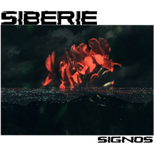 SIBERIE: Signos