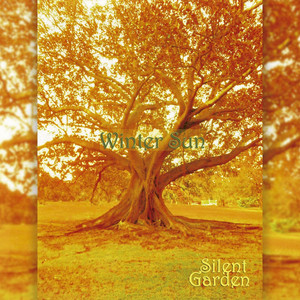 SILENT GARDEN: Winter Sun