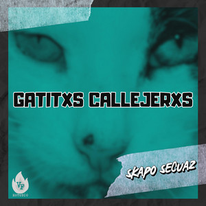 SKAPO SECUAZ: Gatitxs Callejerxs