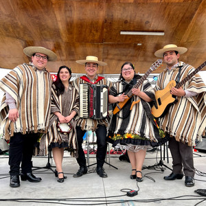 SONES DE MI CHILE: Sones festivaleros