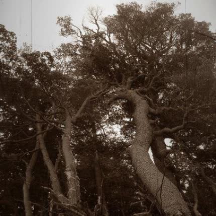 STRANGE THOUGHTS: album