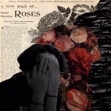 TAPE RECORDER: Entre Rosas y Espinas