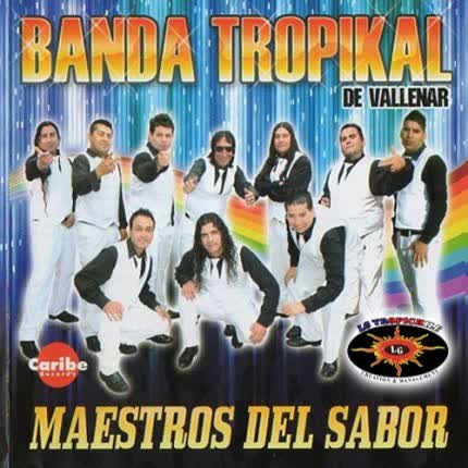 BANDA TROPIKAL DE VALLENAR: Maestros del sabor