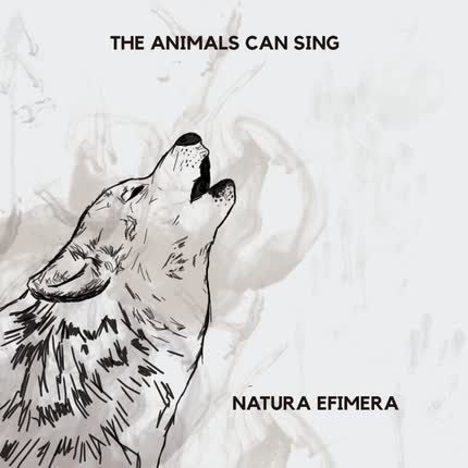THE ANIMALS CAN SING: Natura Efimera