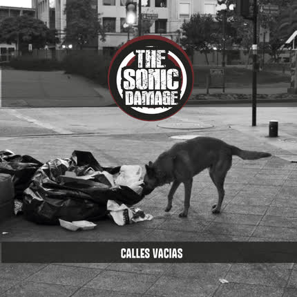 THE SONIC DAMAGE: Calles Vacías