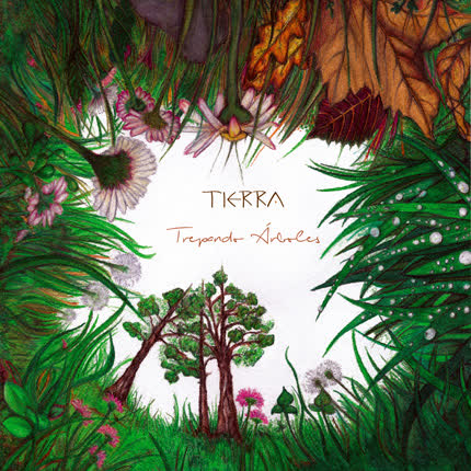 TIERRA: Trepando Árboles