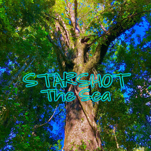 STARSHOT: The Sea