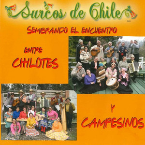 SURCOS DE CHILE: Sembrando el Encuentro Entre Chilotes y Campesinos