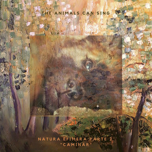 THE ANIMALS CAN SING: Natura Efímera Parte 2