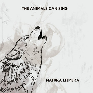 THE ANIMALS CAN SING: Natura Efimera