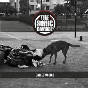 THE SONIC DAMAGE: Calles Vacías