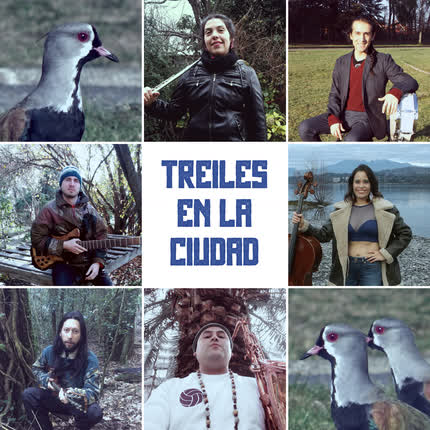 TREILES EN LA CIUDAD: Treiles en la Ciudad