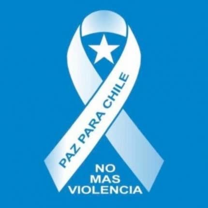 TRINIDAD ALLIENDE: Yo Cuido a Mi País