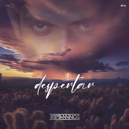 TRIPTAMINOS: Despertar