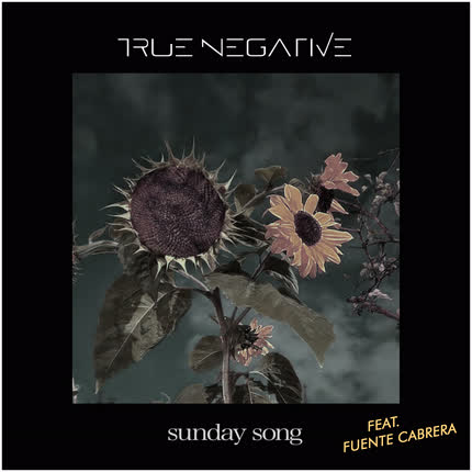 TRUE NEGATIVE: Sunday Song