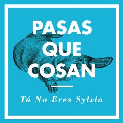TU NO ERES SYLVIA: Pasas que cosan