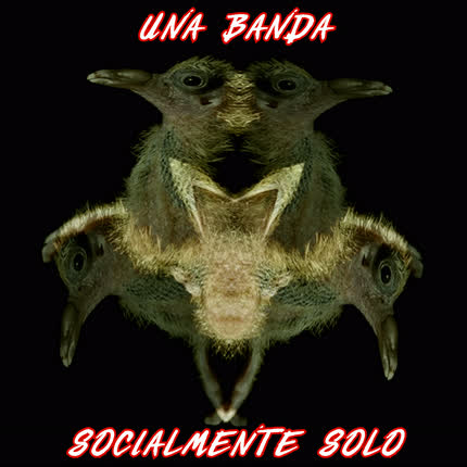 UNA BANDA: Socialmente Solo