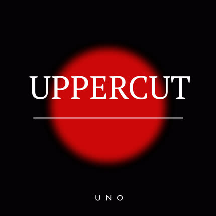 UPPERCUT: Persistir