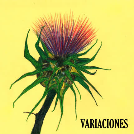 VARIACIONES: Variaciones