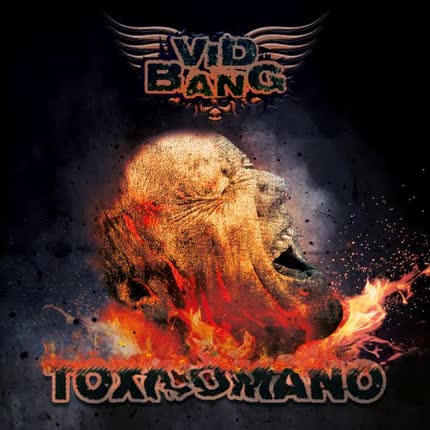 VIDBANG: Toxicómano