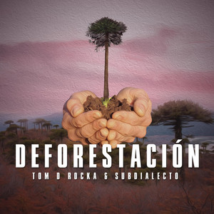 TOM D. ROCKA: Deforestacion