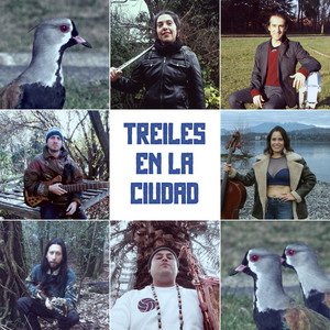 TREILES EN LA CIUDAD: Treiles en la Ciudad