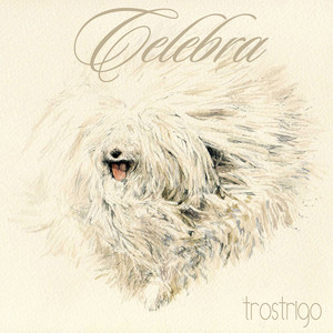TROSTRIGO: Celebra