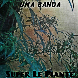 UNA BANDA: Super Le Piante
