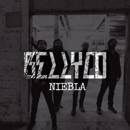 BELLYCO: Niebla