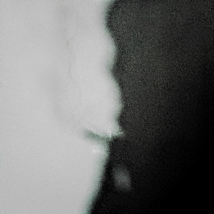 VAN DEIMIAN: Grisáceo