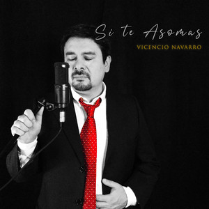 VICENCIO NAVARRO: Si te asomas