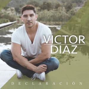 VICTOR DIAZ: Declaración