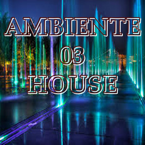 VICZ3TA: AMBIENTE 03 HOUSE