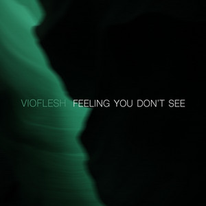 VIOFLESH: Feeling You Don't See