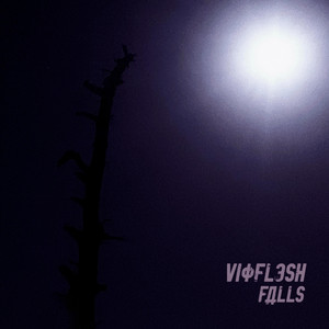 VIOFLESH: Falls