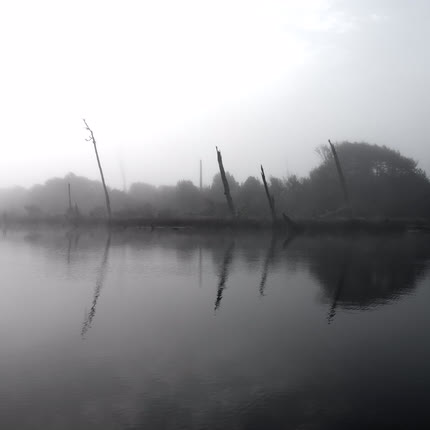 BENITO CERENO: El Delta de un Río