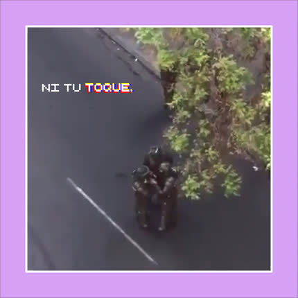 YING YVNG: Ni Tu Toque