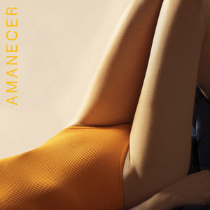 ZEBRA 93: Amanecer