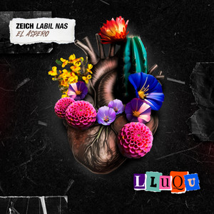 ZEICH LABIL NAS: LLUQU