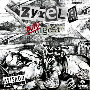 ZYXELA MC: Autogesta