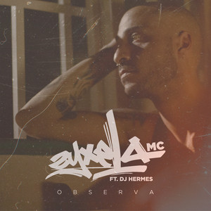 ZYXELA MC: Observa