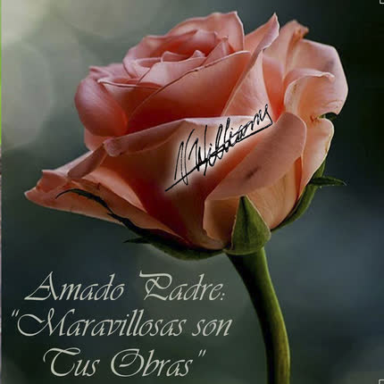 MARIETTA COSTAGLIOLA: Amado Padre