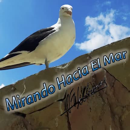 MARIETTA COSTAGLIOLA: Mirando Hacia el Mar