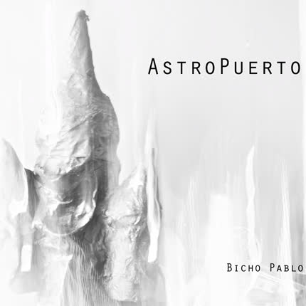 BICHO PABLO: Astro Puerto